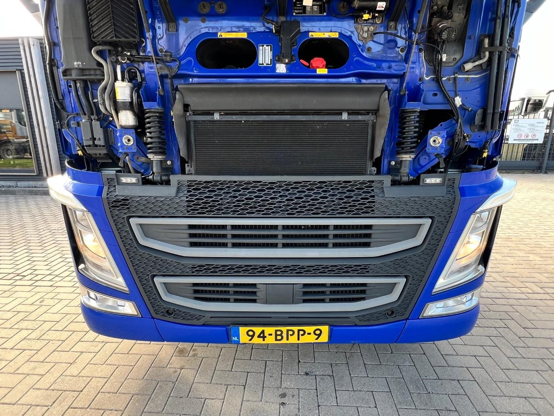 56590230-7.jpg